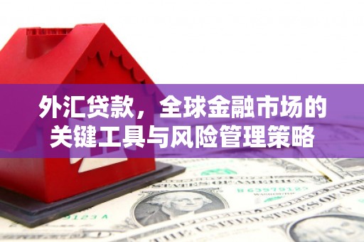 分宜外汇贷款，全球金融市场的关键工具与风险管理策略
