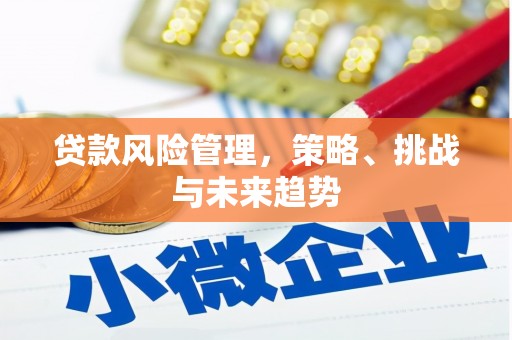 分宜贷款风险管理，策略、挑战与未来趋势