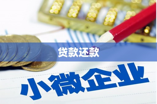 分宜贷款还款