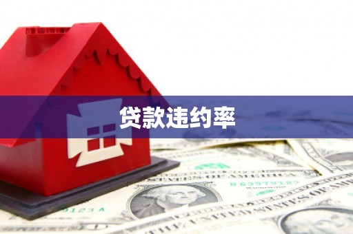 分宜贷款违约率