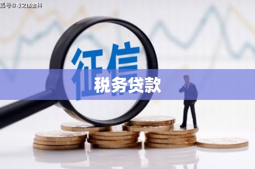 分宜税务贷款