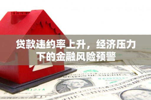 分宜贷款违约率上升，经济压力下的金融风险预警