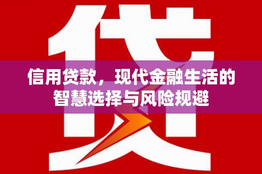 分宜信用贷款，现代金融生活的智慧选择与风险规避