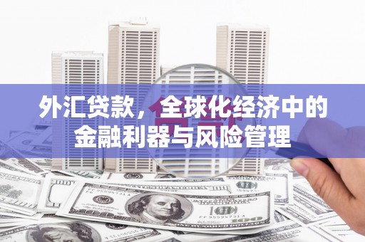 分宜外汇贷款，全球化经济中的金融利器与风险管理