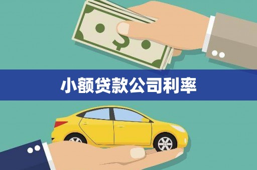 分宜小额贷款公司利率