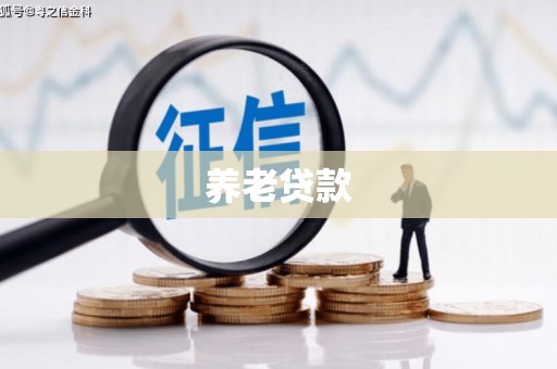 分宜养老贷款