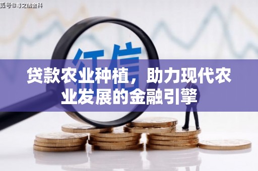 分宜贷款农业种植，助力现代农业发展的金融引擎