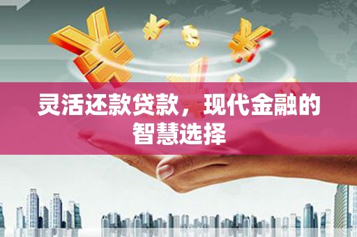 分宜灵活还款贷款，现代金融的智慧选择