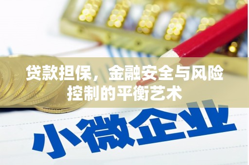 分宜贷款担保，金融安全与风险控制的平衡艺术