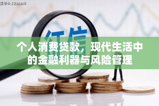 分宜个人消费贷款，现代生活中的金融利器与风险管理