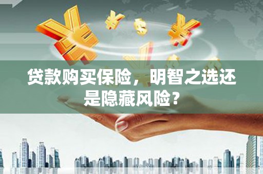 分宜贷款购买保险，明智之选还是隐藏风险？