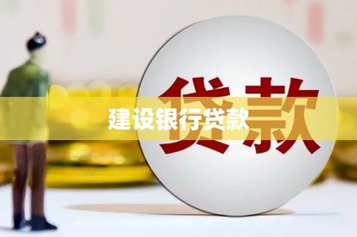 分宜建设银行贷款
