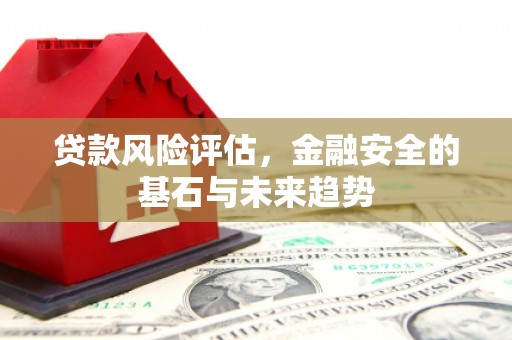 分宜贷款风险评估，金融安全的基石与未来趋势