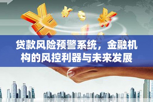 分宜贷款风险预警系统，金融机构的风控利器与未来发展