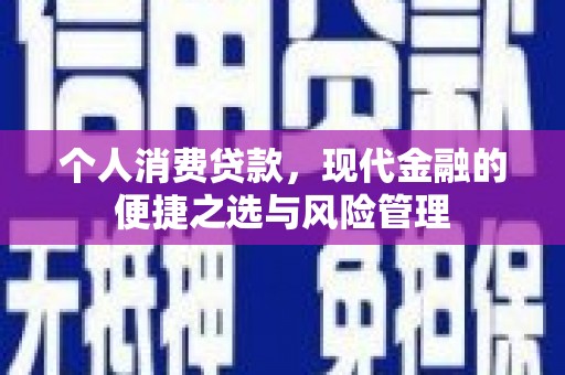 分宜个人消费贷款，现代金融的便捷之选与风险管理