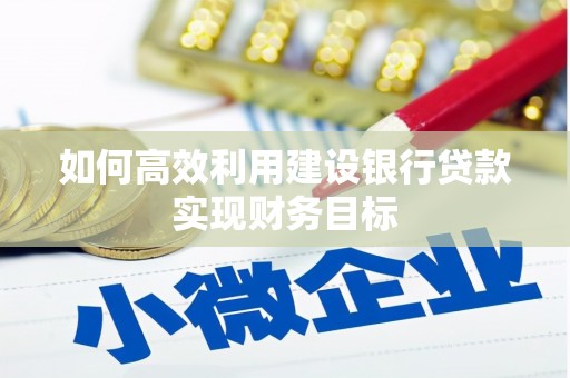 分宜如何高效利用建设银行贷款实现财务目标