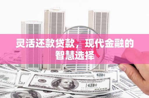 分宜灵活还款贷款，现代金融的智慧选择