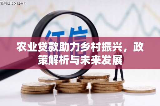 分宜农业贷款助力乡村振兴，政策解析与未来发展