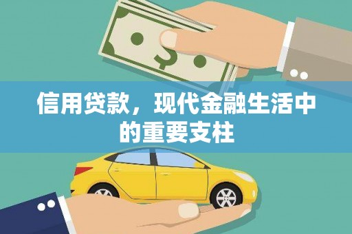 分宜信用贷款，现代金融生活中的重要支柱