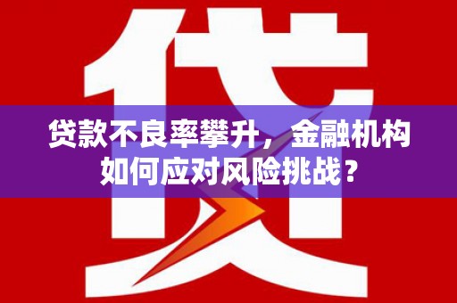 分宜贷款不良率攀升，金融机构如何应对风险挑战？