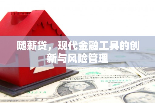 分宜随薪贷，现代金融工具的创新与风险管理
