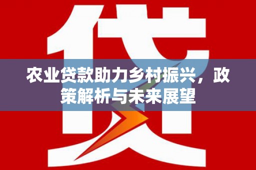 分宜农业贷款助力乡村振兴，政策解析与未来展望