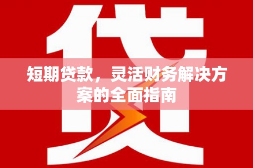 分宜短期贷款，灵活财务解决方案的全面指南