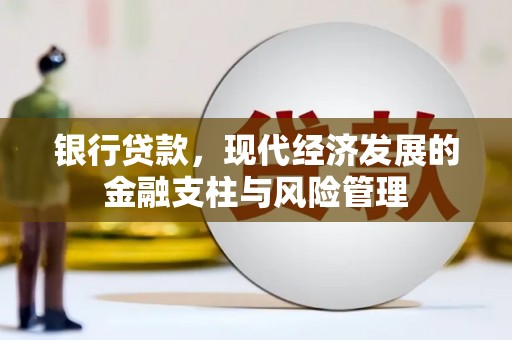 分宜银行贷款，现代经济发展的金融支柱与风险管理