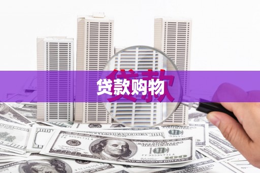 分宜贷款购物