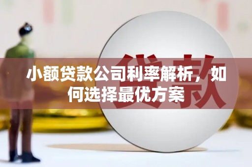 分宜小额贷款公司利率解析，如何选择最优方案