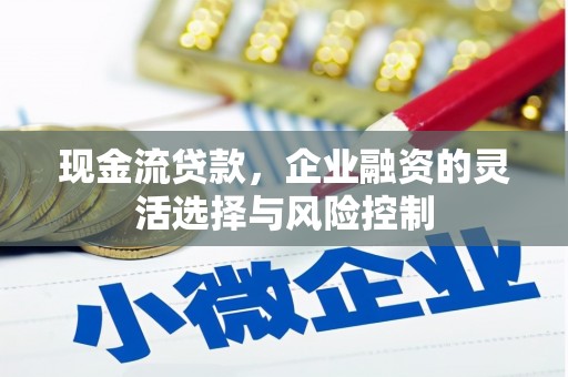 分宜现金流贷款，企业融资的灵活选择与风险控制