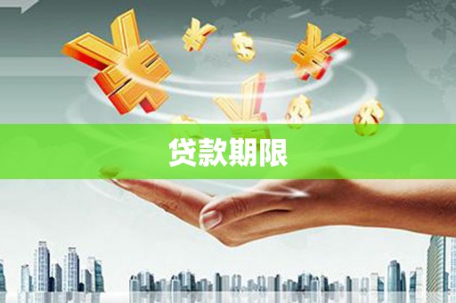 分宜贷款期限