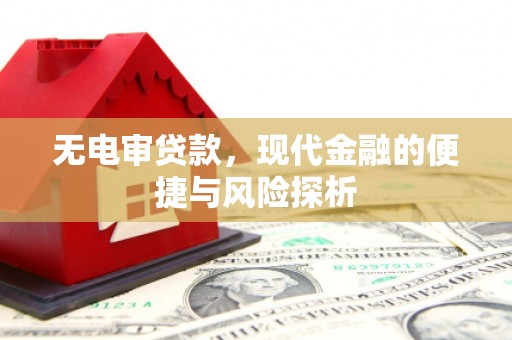 分宜无电审贷款，现代金融的便捷与风险探析