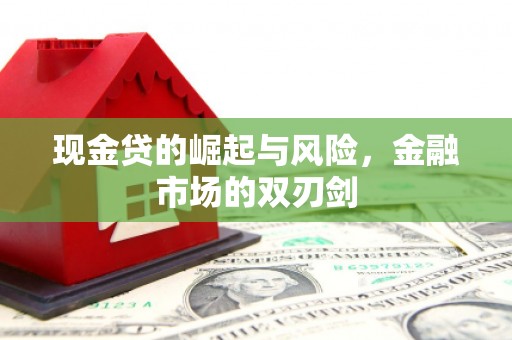 分宜现金贷的崛起与风险，金融市场的双刃剑