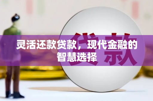 分宜灵活还款贷款，现代金融的智慧选择