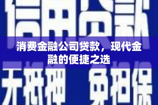 分宜消费金融公司贷款，现代金融的便捷之选