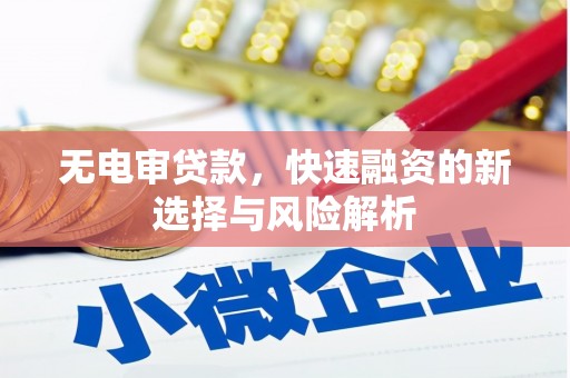 分宜无电审贷款，快速融资的新选择与风险解析