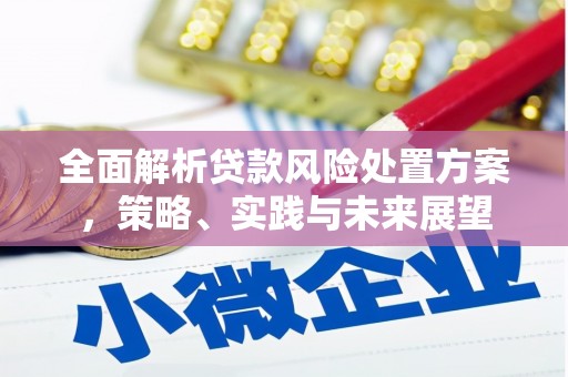 分宜全面解析贷款风险处置方案，策略、实践与未来展望