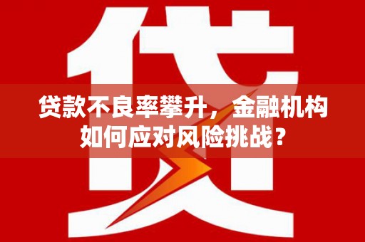分宜贷款不良率攀升，金融机构如何应对风险挑战？