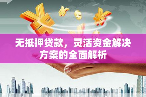 分宜无抵押贷款，灵活资金解决方案的全面解析