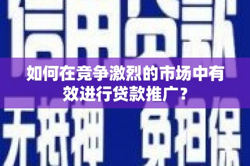 分宜如何在竞争激烈的市场中有效进行贷款推广？