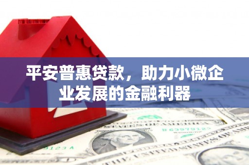 分宜平安普惠贷款，助力小微企业发展的金融利器