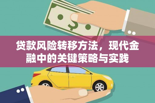 分宜贷款风险转移方法，现代金融中的关键策略与实践