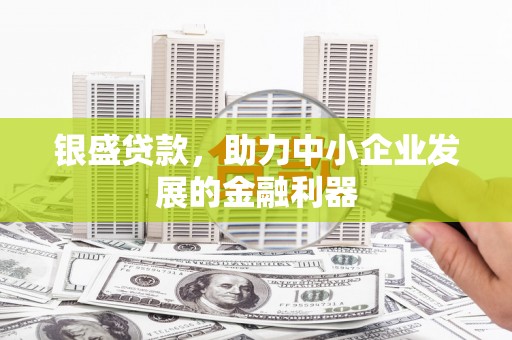 分宜银盛贷款，助力中小企业发展的金融利器