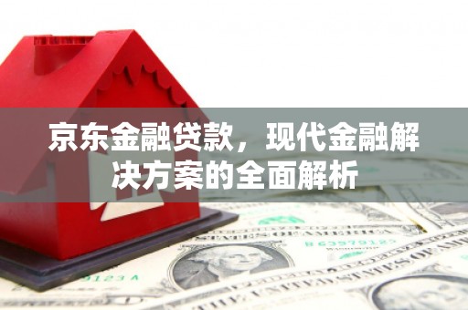 分宜京东金融贷款，现代金融解决方案的全面解析