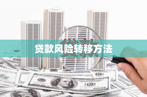 分宜贷款风险转移方法