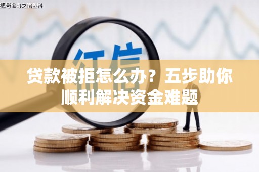 分宜贷款被拒怎么办？五步助你顺利解决资金难题