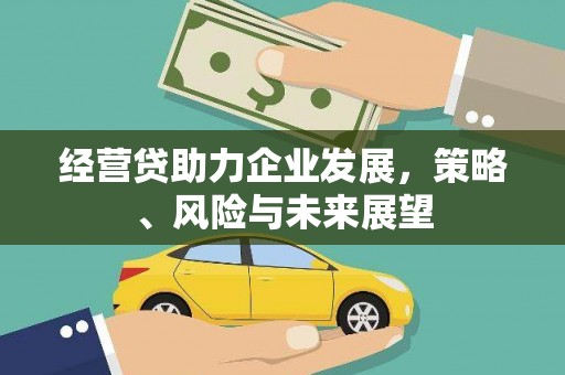 分宜经营贷助力企业发展，策略、风险与未来展望