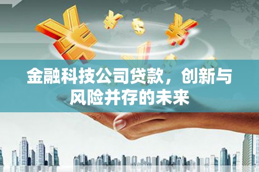 分宜金融科技公司贷款，创新与风险并存的未来