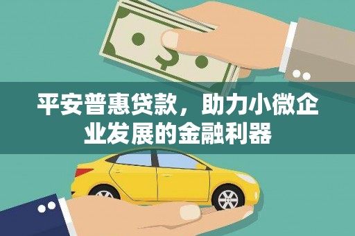 分宜平安普惠贷款，助力小微企业发展的金融利器